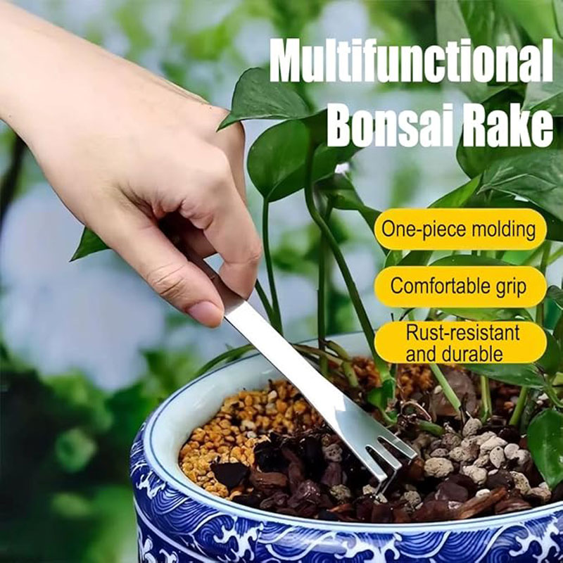 Alat Penggaruk Akar Bonsai Gen - Bonsai Garden Plants ulasan dan harga