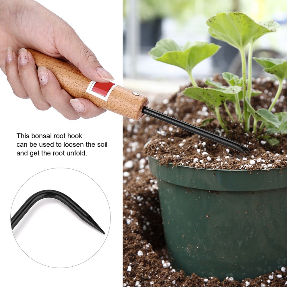 Kait Akar Bonsai Besi Kokoh Ga - Root Hook Tool ulasan dan harga