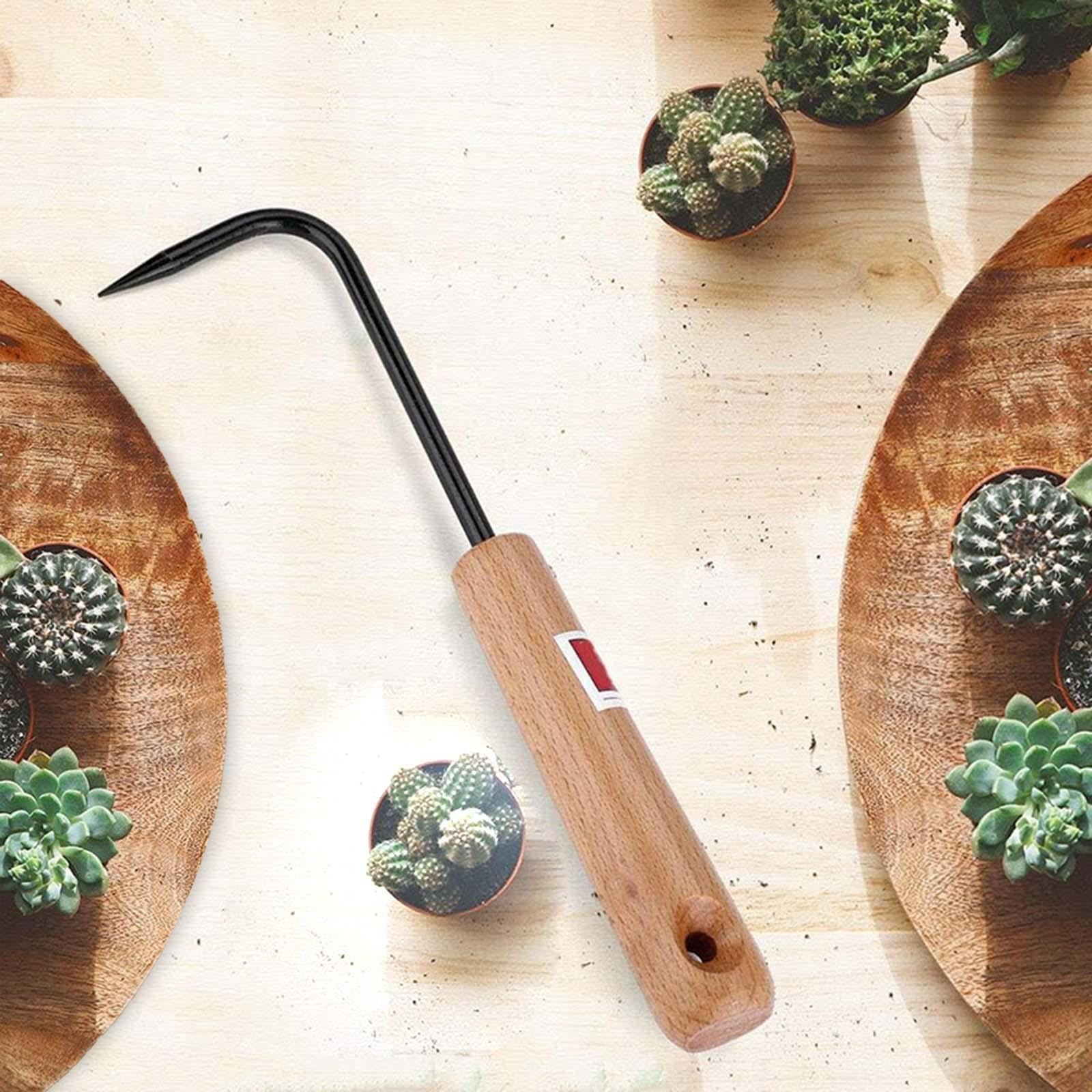 Alat Kebun Penggali Akar Bonsa - Root Hook Tool ulasan dan harga