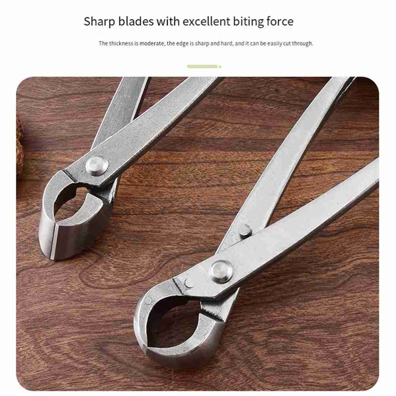 Alat Bonsai ABAE, Set Alat Bon - Root Hook Tool ulasan dan harga