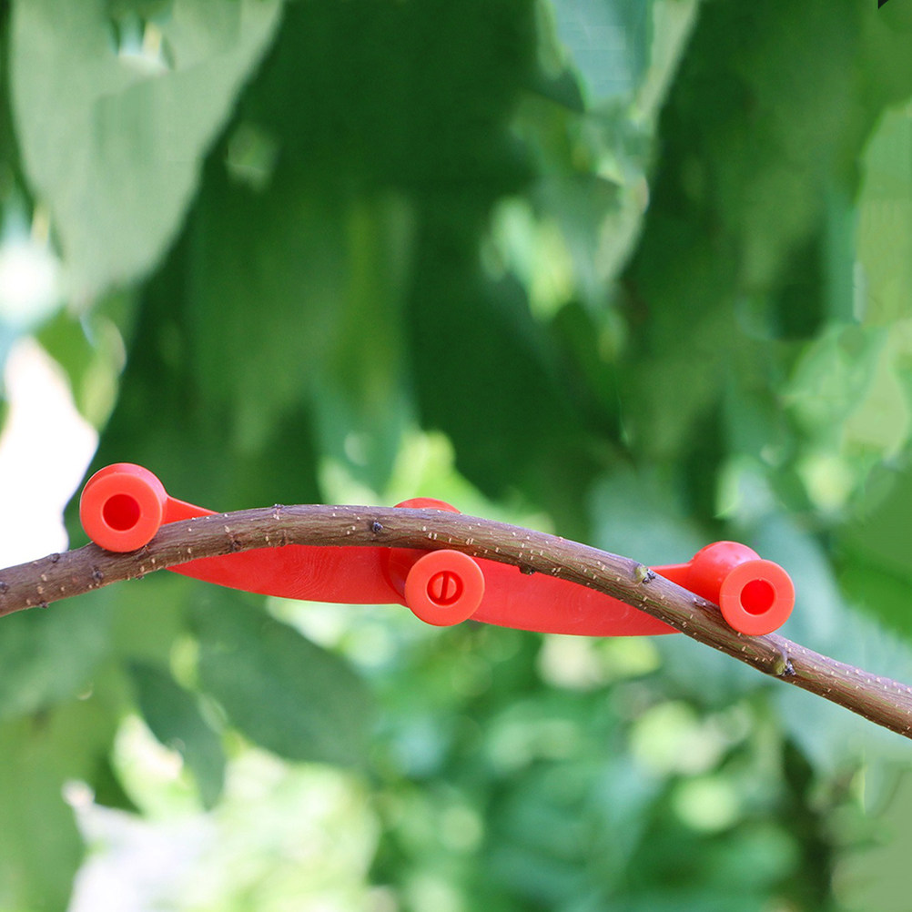 10Pcs Penyangga Tanaman Fleksi - Bonsai Garden Plants ulasan dan harga