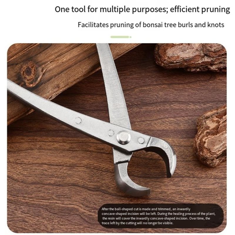 Peralatan Pohon Bonsai ABGH, S - Root Hook Tool ulasan dan harga