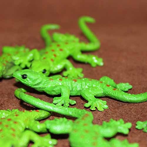 Miniatur Hewan Reptil Kadal Si - First Bonsai Garden ulasan dan harga